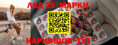 гидропоника Пугачёв