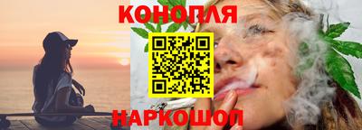 гидропоника Пугачёв