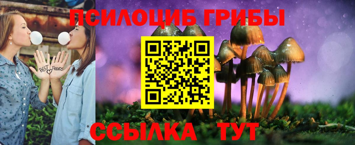 Семилуки  Псилоцибиновые грибы ЛСД  Вход с VPN  Галлюциногенные грибы мицелий 